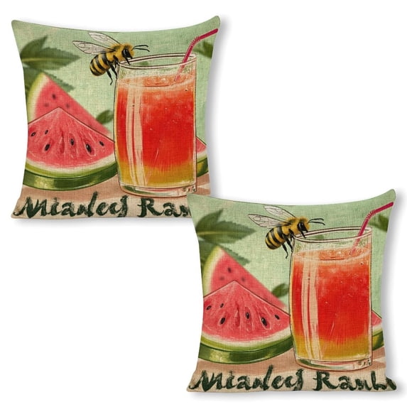 watermelon slices beeinen throw pillowcase decoration pillowcase gifting preferred 18x18 inch cushion cover 2 sets sofa pillowcase sofa bedroom living room car