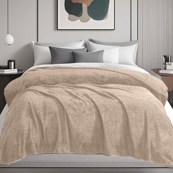 weibbin Throw Blanket for Couch, Cozy Lightweight Fleece Blankets with Decorative Wave Textured Suitable for Winter, 78.74x47.24in