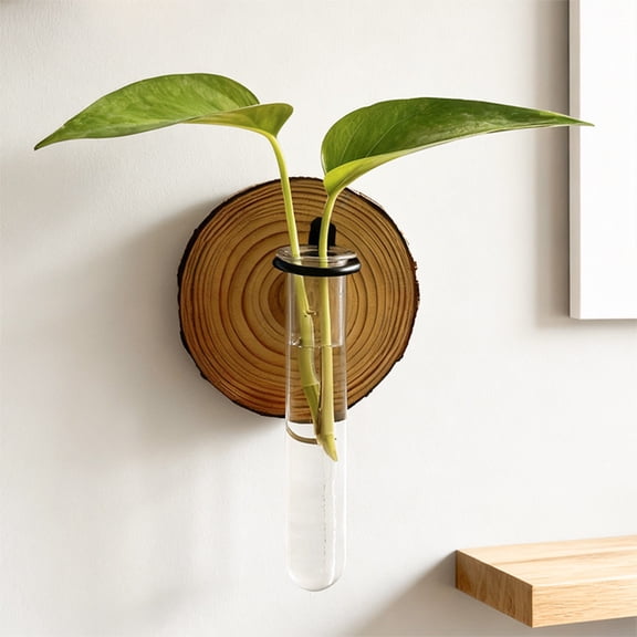 weibbin Wall Mounted Vases for Hydroponic Plants, Modern Flower Pots with Wood Bracket, Home Office Living Room Bathroom Decor