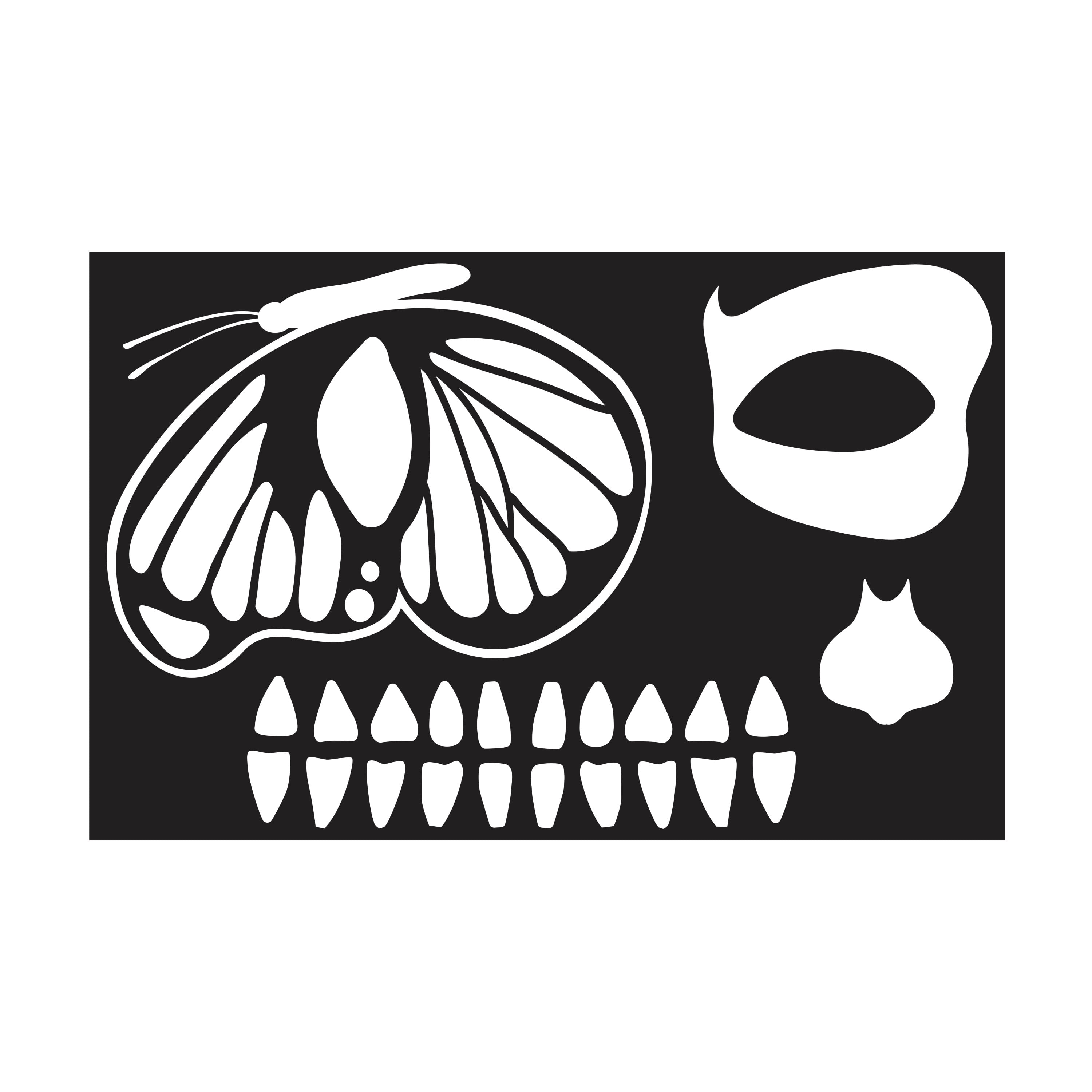 wet n wild Stencil, Butterfly Skull