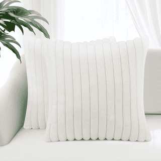 18x18 Pillow Cover, 2 Pack Velvet Pillow Covers, Faux Fur Square Throw Pillow Covers for Living Room Decorations, Throw Pillow Cases Cushion Cover for Home Sofa Bedroom Car