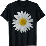 white daisy flower, blooming daisy, blooms, flowery, daisies Thanksgiving Day