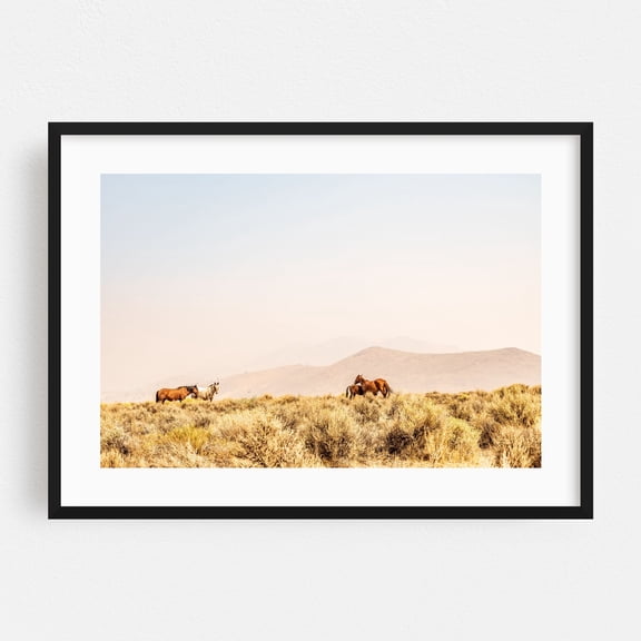 wild horses in Nevada desert - Carson City Nevada Photography Desert Wildlife Horse Nature Landscape Rural Scenic Black Framed Wall Art Print 24 x 36 inches