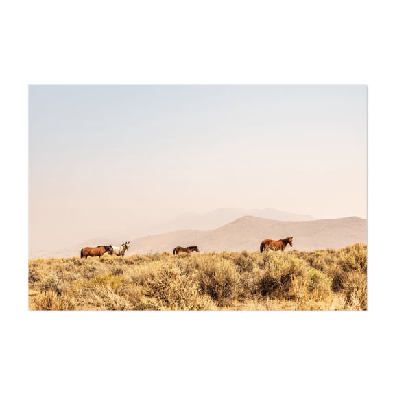 wild horses grazing - Carson City Nevada Photography Horse Desert Wildlife Rural Landscape Nature Pastoral Unframed Wall Art Print 4 x 6 inches
