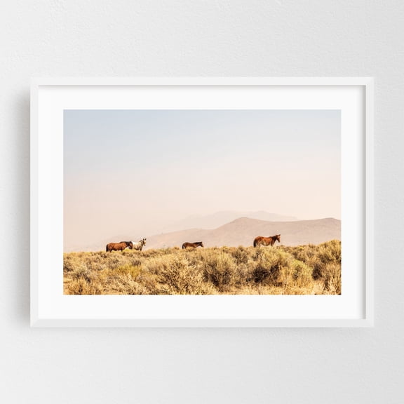 wild horses grazing - Carson City Nevada Photography Horse Desert Wildlife Rural Landscape Nature Pastoral White Framed Wall Art Print 5 x 7 inches