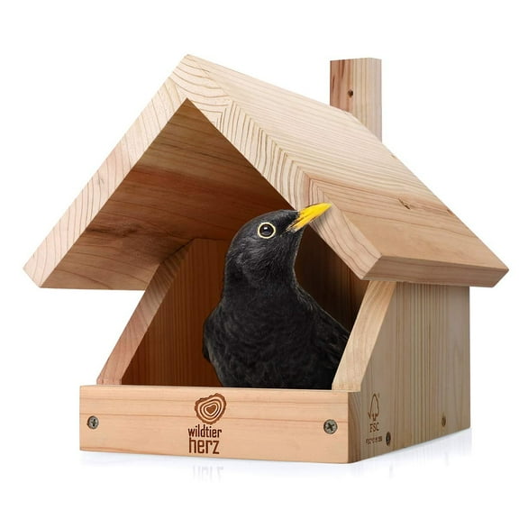 Solid Wood Blackbird Nesting Box - Weatherproof & Untreated, Wooden Bird Houses for Semi-Cavity Breeders - Blackbirds, Robins & More - 25 x 28.5 x 27 cm