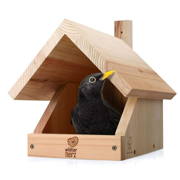 Solid Wood Blackbird Nesting Box - Weatherproof & Untreated, Wooden Bird Houses for Semi-Cavity Breeders - Blackbirds, Robins & More - 25 x 28.5 x 27 cm