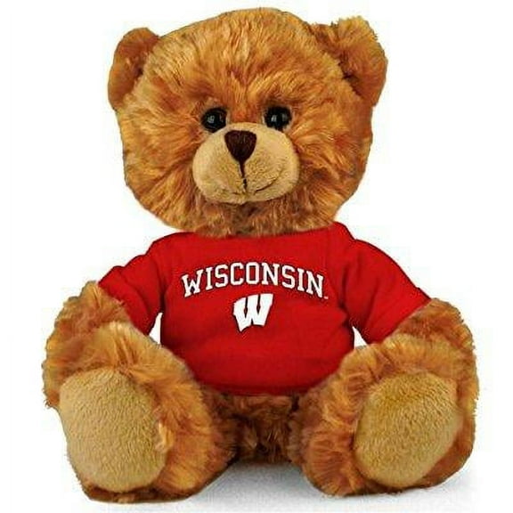 wisconsin badgers 8'' plush hoodie bear