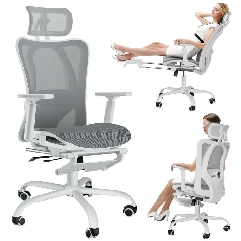 EVMORE Ergonomic Office Chair, Computer Desk Chair with Lumbar