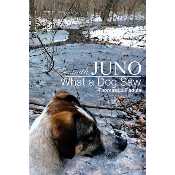 ...with Juno: What a Dog Saw Paperback 1542993504 9781542993500 Thomas La Padula