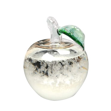 Glass Barometer Storm Glass Weather Predictor - Decorative Weather Forecast Bottle With Wood Base For Home & Office Galileo Thermometer