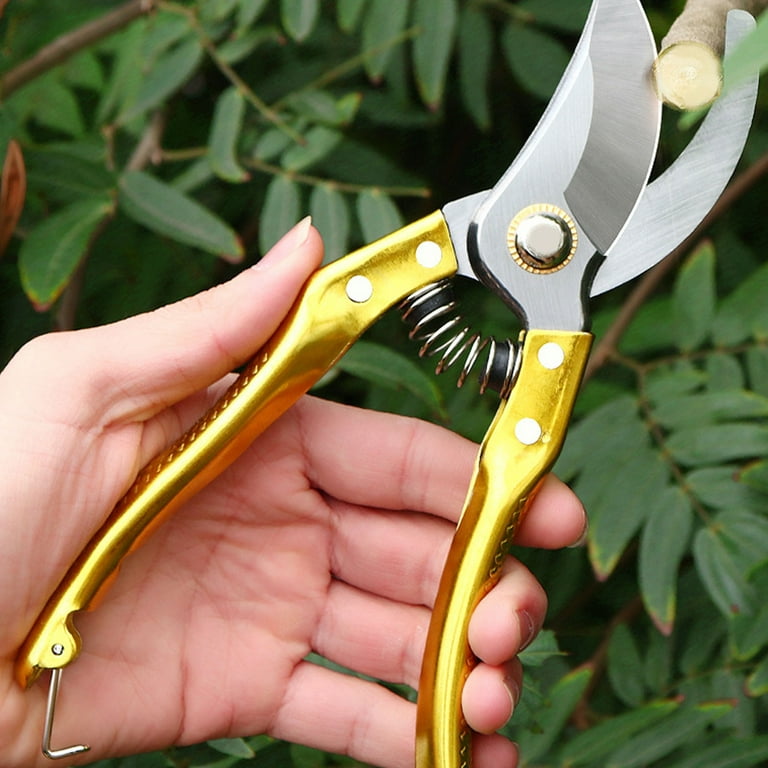 Muerk 3 Pack Garden Pruning Shears Stainless Steel Blades Handheld Pruners  Set with Gardening Gloves 