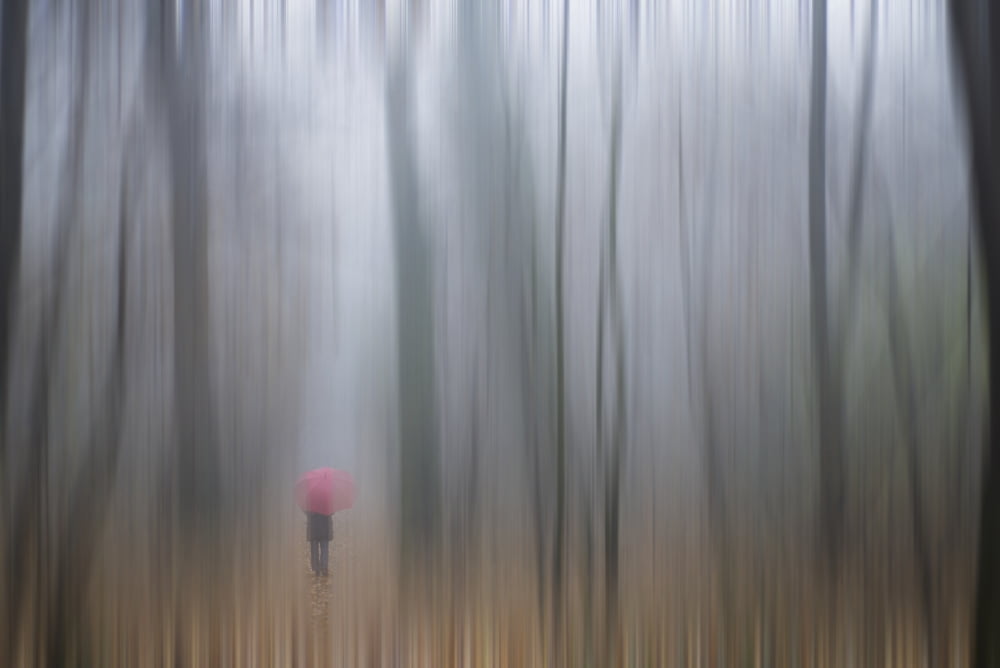 A woman walking with a red umbrella as viewed through a sheer curtainRonco sopra ascona ticino switzerland Canvas Art - Mats Silvan  Design Pics (18 x 12)
