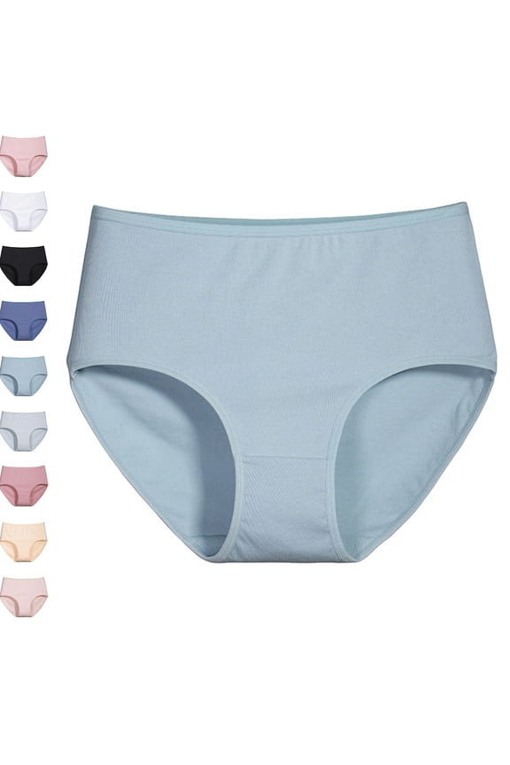 womens Undersated Cotton Full Coverage Brief Panty Blue L