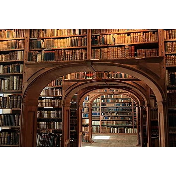 wooden puzzle An elegant and historic library interior Hard Challenging Exercise Intellegent wall decor suitable for Teenager or Adult 500 PCS