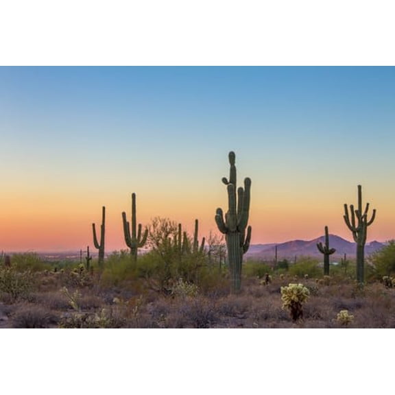 wooden puzzle Desert Landscape with Cacti at Dusk Intelligent Game Fit togather a magic Art for home Decoration or Prensent 300 pieces