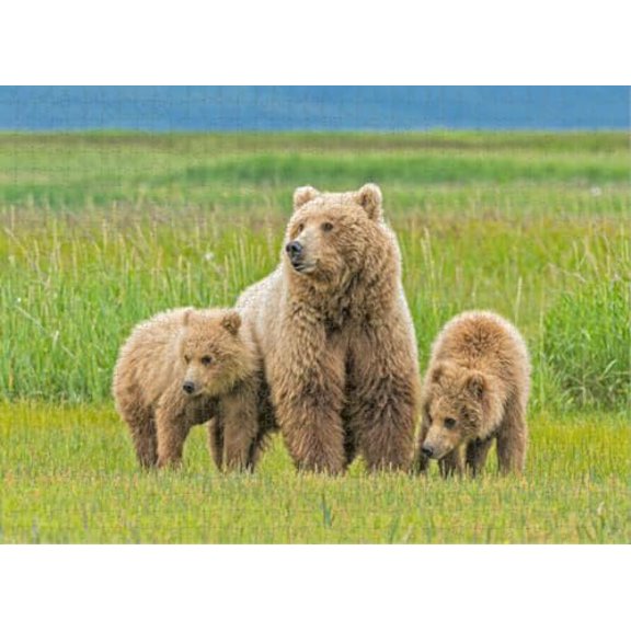 wooden puzzle Mother Bear with Cubs in a Grassland Intelligent Game Fit togather a magic Art for home Decoration or Prensent 500 pieces