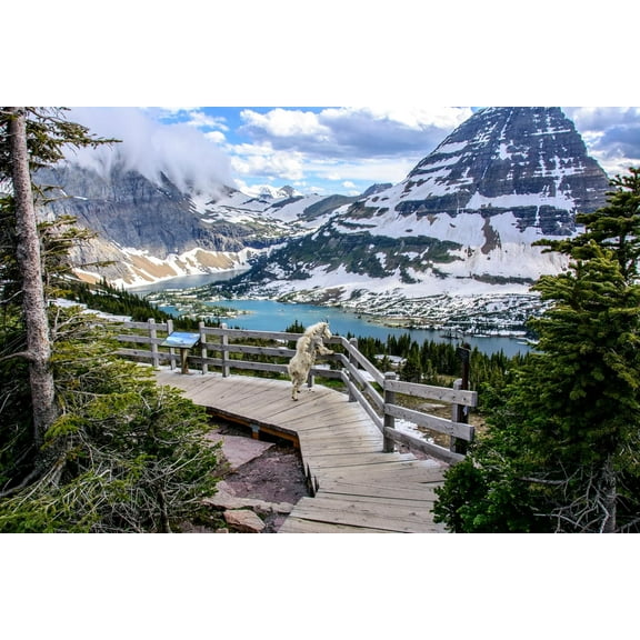 wooden puzzle Mountain - Lake Scenic Path Intelligent Game Fit togather a magic Art for home Decoration or Prensent 500 pieces