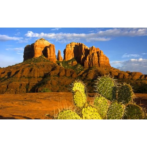 wooden puzzle Rock Formation in Desert with Vegetation Intelligent Game Fit togather a magic Art for home Decoration or Prensent 300 pieces
