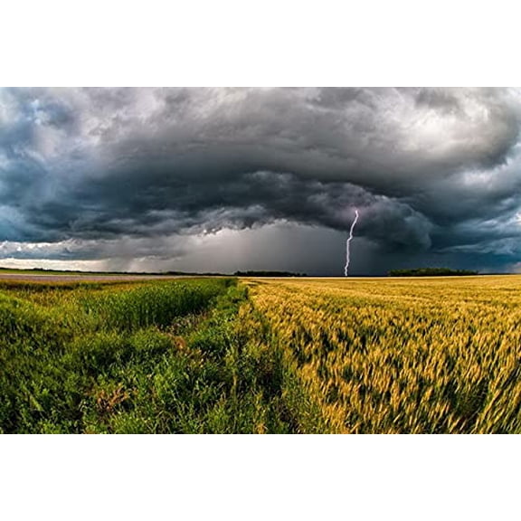 wooden puzzle Stormy Field with Dark Clouds Intelligent Game Fit togather a magic Art for home Decoration or Prensent 1000 pieces