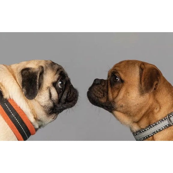 wooden puzzle Two Pugs Nose - to - Nose Intelligent Game Fit togather a magic Art for home Decoration or Prensent 1000 pieces