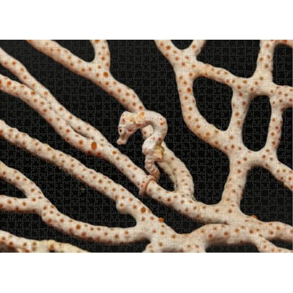 wooden puzzle Zebra - patterned Texture Intelligent Game Fit togather a magic Art for home Decoration or Prensent 500 pieces