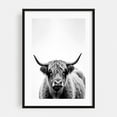 thumbnail image 1 of woolly cow - Photography Highland Cow Black and White Animal Portrait Farmhouse Rural Rustic Black Framed Wall Art Print 5 x 7 inches, 1 of 8