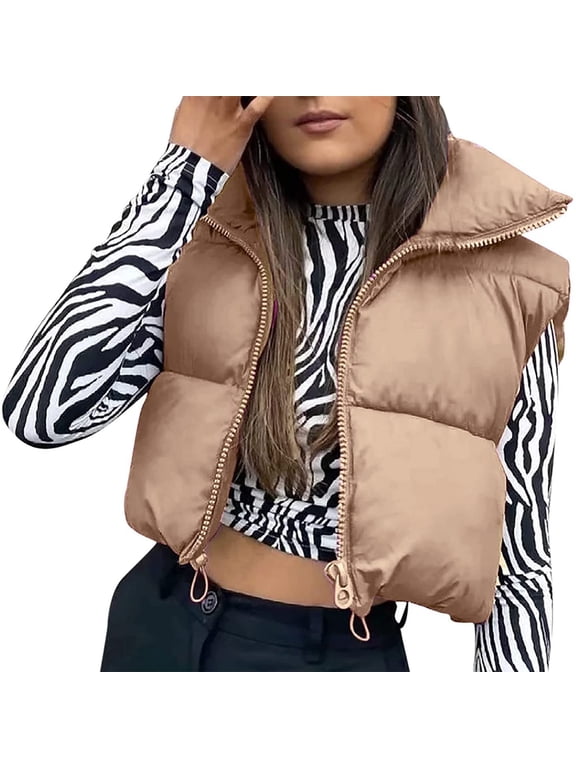 Women Y2K Winter Crop Puffer Vest Warm Lightweight Sleeveless Down Jacket Full-Zip Stand Collar Padded Gilet