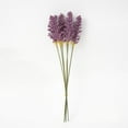 thumbnail image 1 of wtgtog Small Fresh Imitation Rice Seed Ear Bouquet, 6-Stem Plastic Flower Arrangement, Dried Flower Material for Photography Props, Realistic Design Ideal for Home Decor, Durable and Long-Lasting, 1 of 1