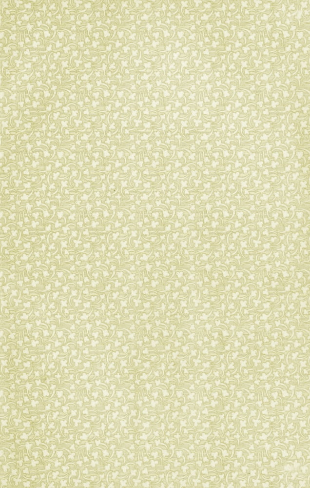 x-Clover 40-100 Canvas Art - (18 x 24)