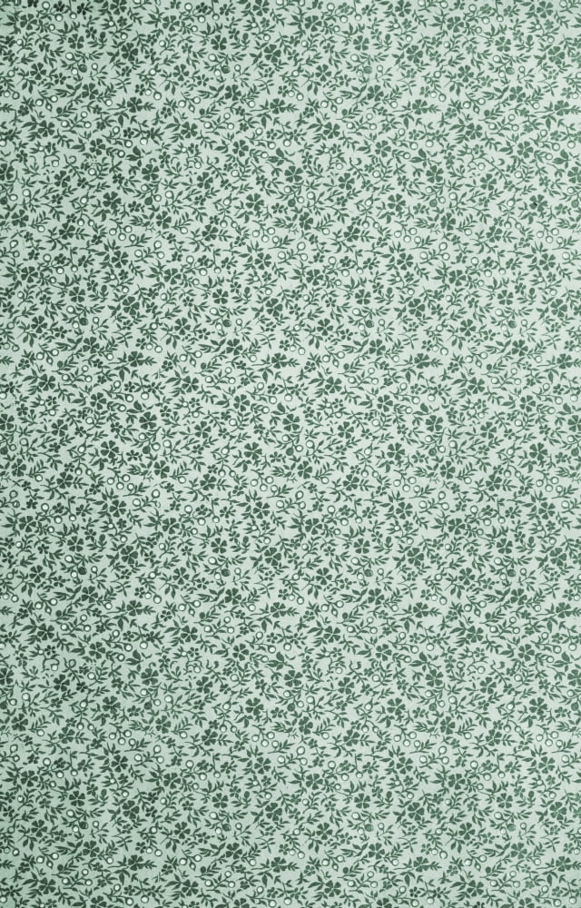x-Flora & Berries 100-40 Canvas Art - (18 x 24)
