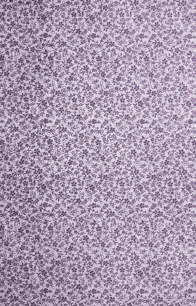 x-Flora & Berries 200-40 Canvas Art -  (18 x 24)