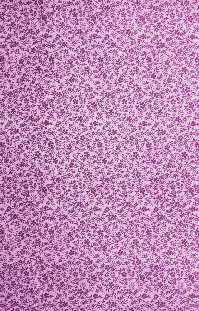 x-Flora & Berries 220-100 Canvas Art -  (18 x 24)