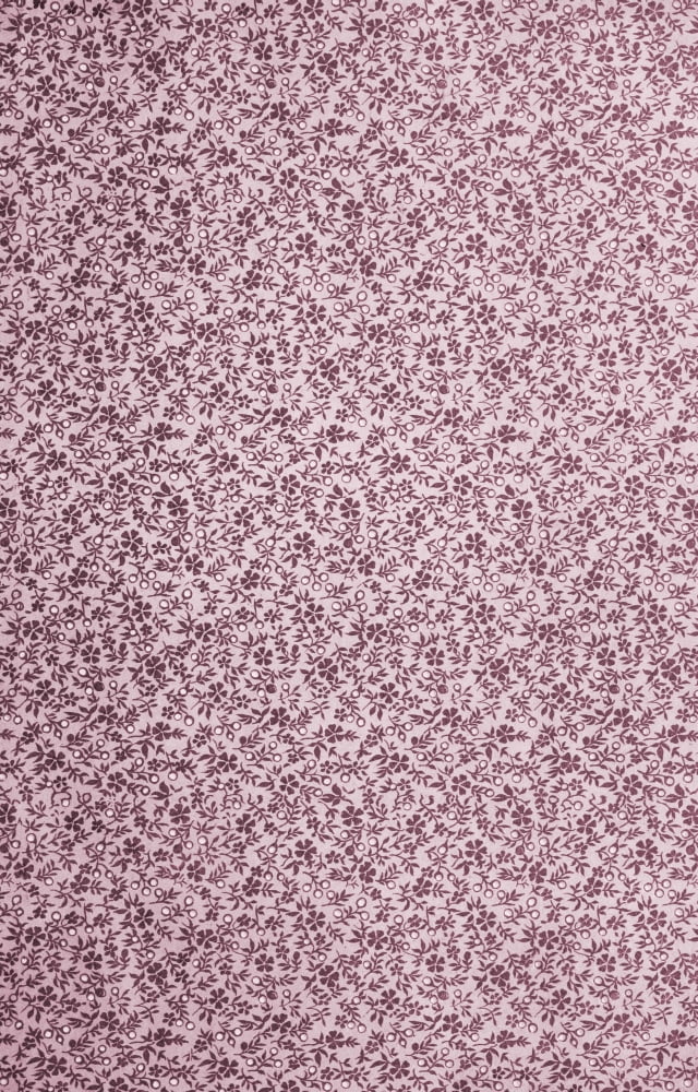 x-Flora & Berries 240-60 Canvas Art - (24 x 36)