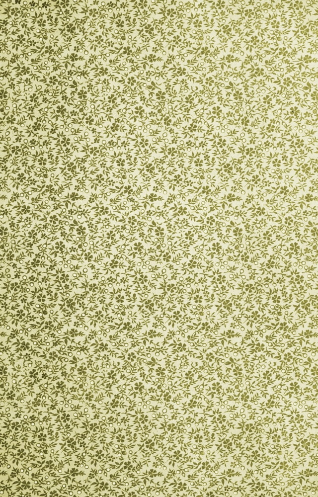 x-Flora & Berries 40-100 Canvas Art - (24 x 36)