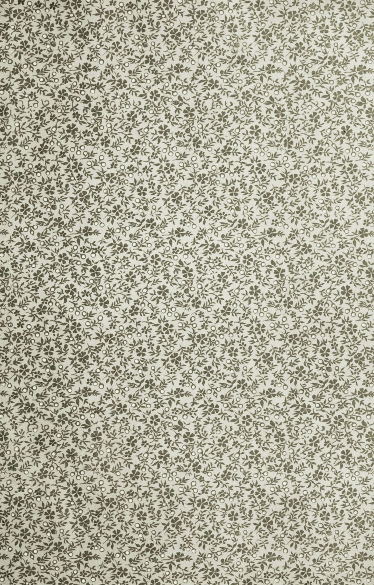 x-Flora & Berries 40-35 Canvas Art - (24 x 36)
