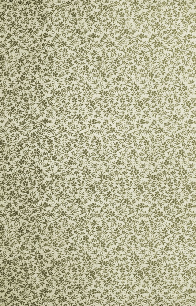 x-Flora & Berries 40-60 Canvas Art - (24 x 36)