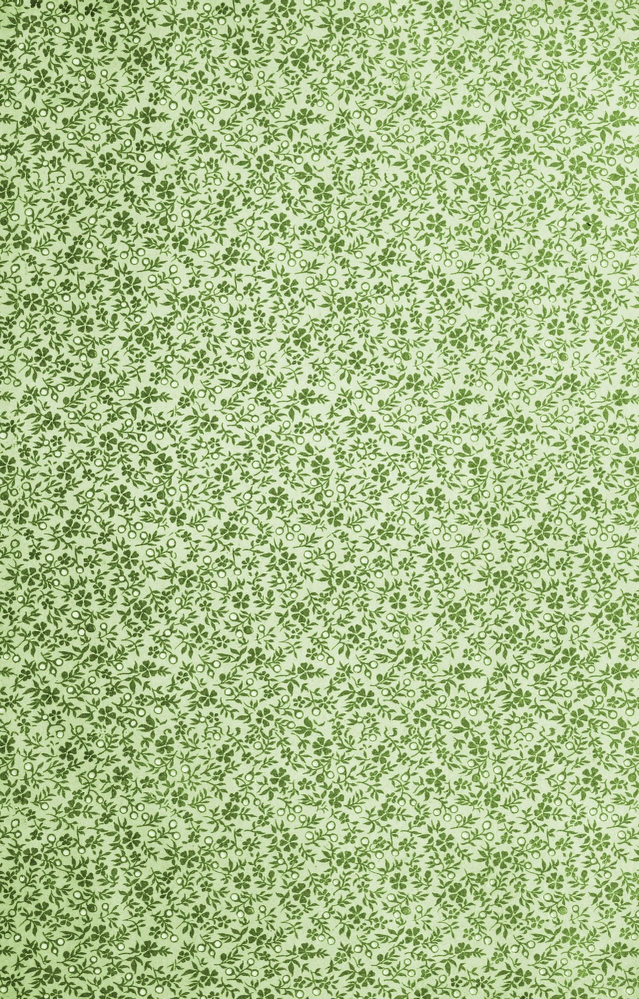 x-Flora & Berries 60-100 Canvas Art - (24 x 36)