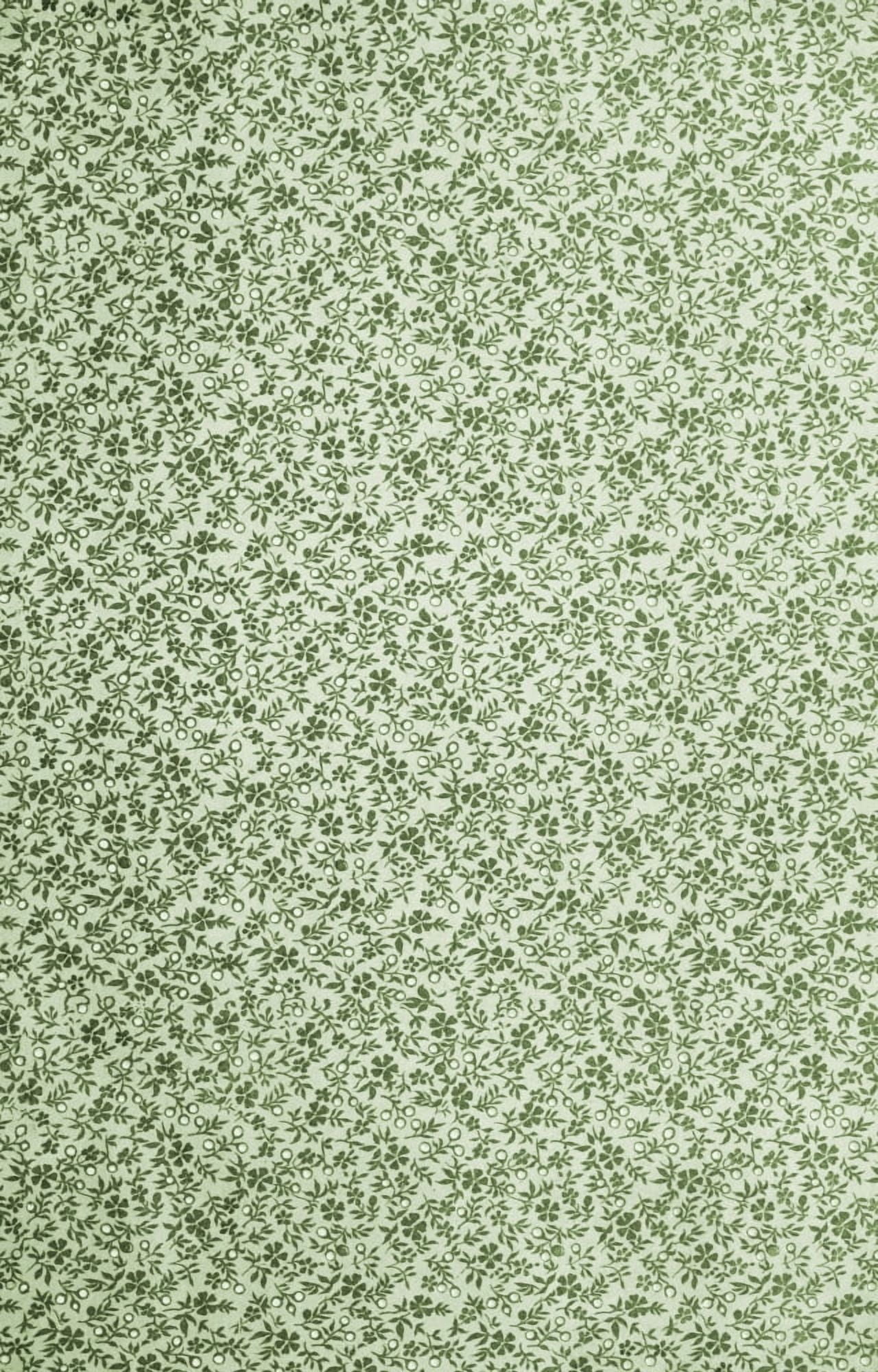 x-Flora & Berries 60-60 Canvas Art - (18 x 24)