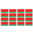 thumbnail image 1 of x12 Belarus World Flag Country Vinyl Sticker Decals - 2", 1 of 1