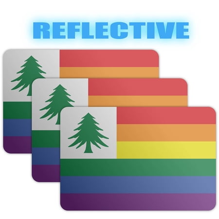 (x3) 3M Reflective NE Pride Flag Flag Stickers | Versatile & High Quality Safety Decals | Flag of NE Pride Flag Sticker Decals | Perfect for Hard hats, laptops, bikes, toolboxes and more!