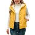 thumbnail image 1 of xaoyunyn Fleece Lined Puffer Vest for Girl Winter Thickened Warm Solid Color Sleeveless Hooded Jacket with Pockets 1-12 Years, 1 of 6