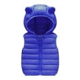 thumbnail image 1 of xaoyunyn Toddler Hooded Puffer Vest Casual Cute Sleeveless Zipper Coat Winter Padded Thicken Quilted Jackets 6M-4 Years, 1 of 5
