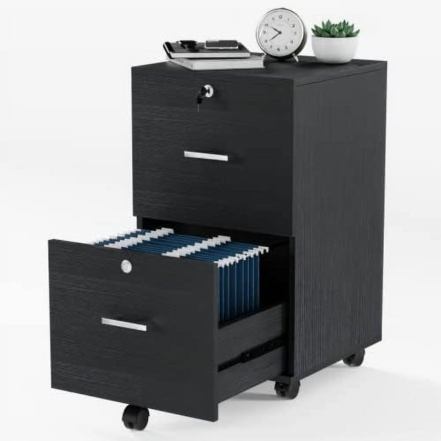 NLTBONNIE 2Drawer Small Rolling File with Lock Wood Filing
