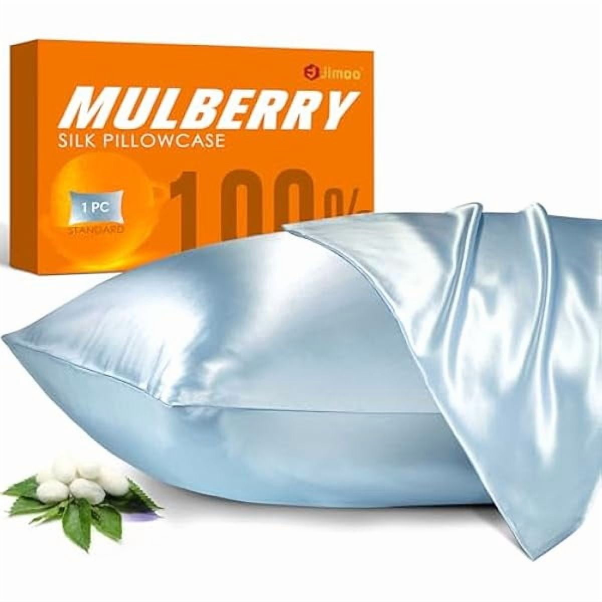 xzyuan 100% Mulberry Silk Pillowcase for Hair and Skin, 22 Momme Pure Natural Silk Pillow Case Both Sided with Zipper, Pillow Cover for Women Mom Men (Light Blue, Queen 20''×30'', 1 Pack)