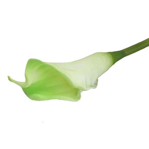 yaaqii Artificial SNAIL GARDEN Latex Calla Lily Bundle with Green Leaves