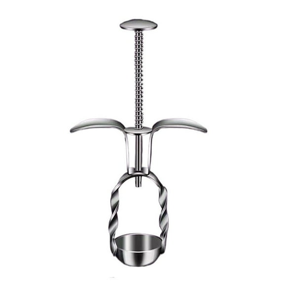 yaaqii Cherries Corer Tool for Cherry Olive Pits Tool Kitchen Corer Fruit Core Stoner Tool