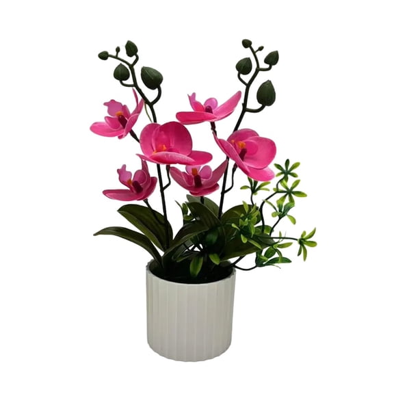 yaaqii Simulation orchid six-flower phalaenopsis bonsai indoor