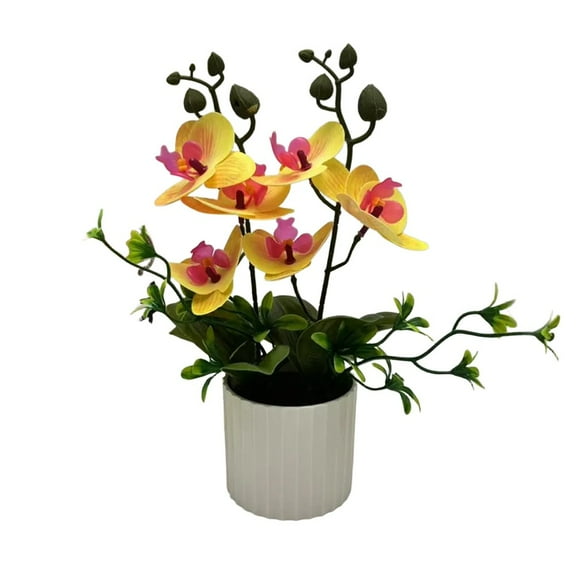yaaqii Simulation orchid six-flower phalaenopsis bonsai indoor