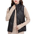 thumbnail image 1 of yillto Fall Winter Vest Coat Plus Size Sleeveless Stand Collar Jacket Fashion Warm Full Zipper Vest Jacket, 1 of 6